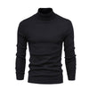 JANGSAN Merino Wool Turtleneck - Maison Sydney